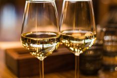 El mundo del vino está experimentando una transformación notable, apalancado en el creciendo del consumo de uvas blancas y espumantes. Foto: Archivo MDZ