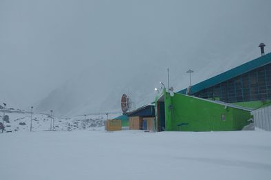 MDZol | 799835.jpg