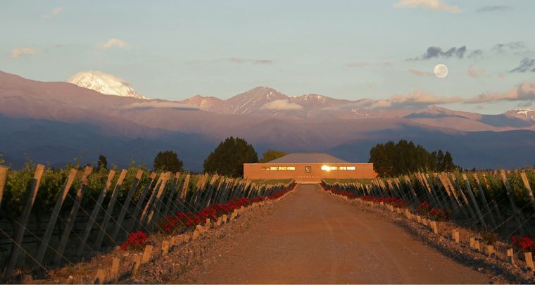 Julia se va de Finca Sophenia.