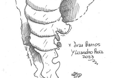 MDZol | ¿Argentina se pasó de rosca? Foto: Foto: Juan Barros