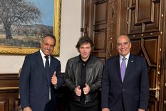 Scioli, un sobreviviente de la política Foto: Presidencia