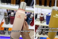 Mostró la diferencia entre los termos Stanley en Argentina y Ciudad del Este Foto: Captura del video de TikTok