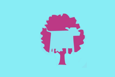 Test de personalidad Test de personalidad