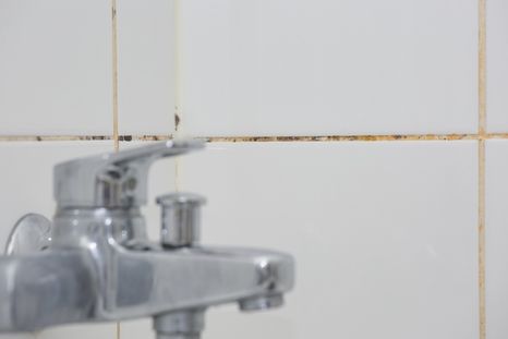 Adiós a las juntas llenas de moho en el baño. Foto: Shutterstock Adiós a las juntas llenas de moho en el baño. Foto: Shutterstock