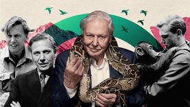 La vida en imágenes del arriesgado documentalista que cambió la forma en que vemos nuestro planeta