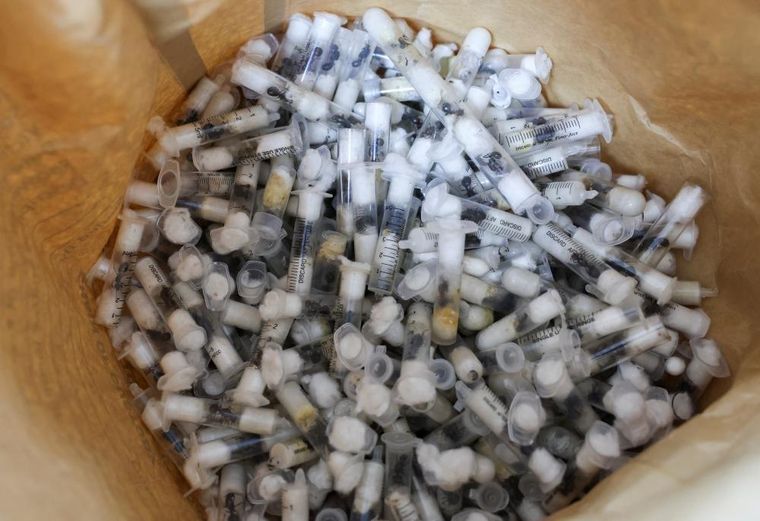 El año pasado, las autoridades en Kenia dieron un golpe al tráfico de hormigas en el que participaban extranjeros.