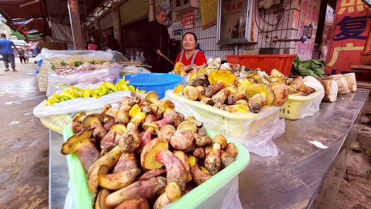 Los hongos Lanmaoa asiatica se venden en los mercados durante la temporada alta de setas, entre junio y agosto.