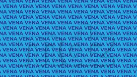 El acertijo visual no solo entretiene sino que también divierte. El acertijo visual no solo entretiene sino que también divierte.