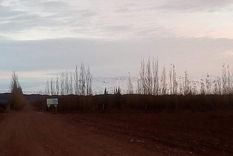 La pareja estaba en el ingreso del terreno ubicado en Villa Manzano, Neuquén.