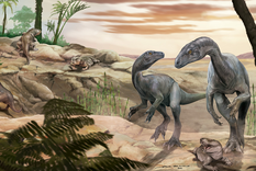 La imagen que compartió el Conicet de cómo se vería el dinosaurio tras el hallazgo en La Rioja.