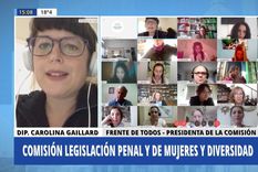 diputados analizo proyectos sobre justicia penal y genero