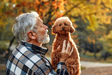 MDZol | caninoterapia en tratamientos gerontológicos, perros, terapia, abuelos, adultos mayores