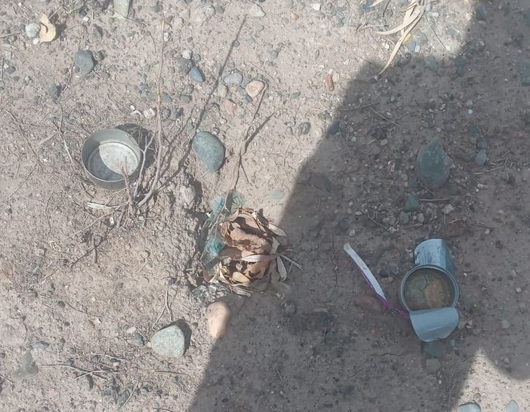 Latas de atún con veneno. Los vecinos exigen que se tomen medidas inmediatas para detener esta cruel práctica. Foto: Gentileza