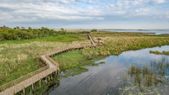 El Litoral es una de las regiones menos visitadas de Argentina, no por falta de atractivos, sino porque todavía es poco conocido por muchos viajeros. Foto: Gobierno Argentino