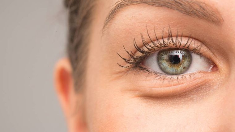 Desviar la vista en una conversación puede tener varios significados, según la psicología Foto: Shutterstock