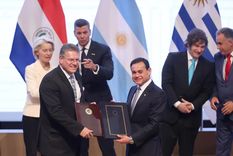 Las exportaciones de Mendoza podrían verse especialmente beneficiadas por el acuerdo entre el Mercosur y la Unión Europea.&nbsp;