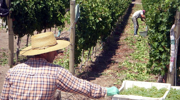 Foto: Ulises Naranjo.