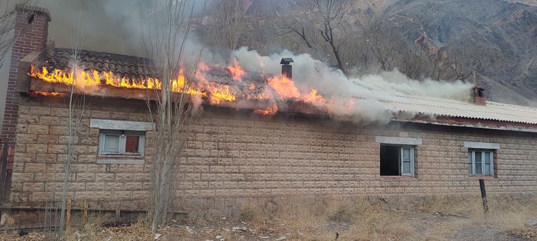 WhatsApp Image 2025-07-14 at 18.58.56