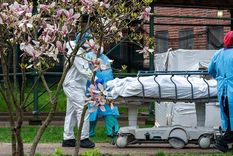 La cifra total sería de 24 millones de muertos. Foto: Aamc.