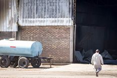Un incendio volvió a ocurrir en el Mercado Cooperativo de Guaymallén.