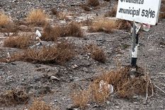 Los carteles fueron colocados por el municipio de Las Heras