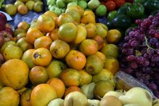 Como consecuencia de una medida de Senasa, no habrá disponibilidad de naranjas en el mercado. Foto: ALF PONCE / MDZ