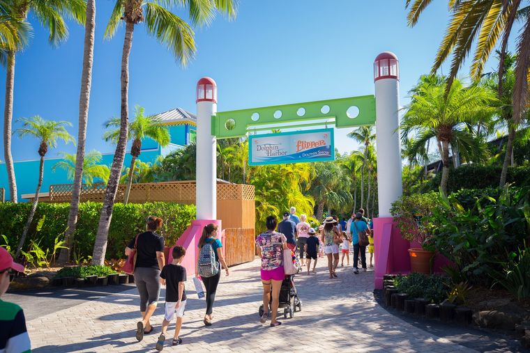 El Miami Seaquarium fue fundado en 1955.