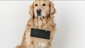 Los nombres de series, películas y redes sociales inspiraron muchas de las elecciones. Foto: Archivo Los nombres de series, películas y redes sociales inspiraron muchas de las elecciones. Foto: Archivo