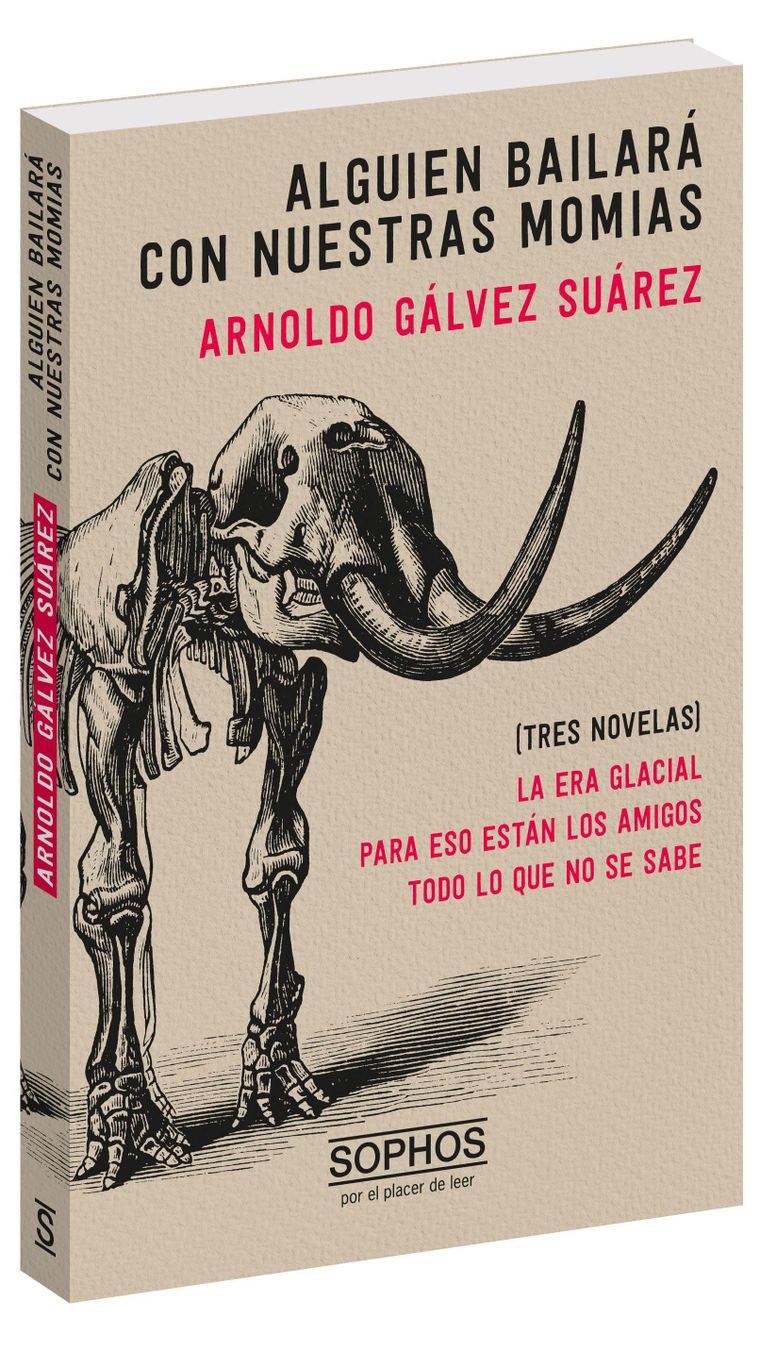 "Alguien bailará con nuestras momias" comprende tres novelas de Gálvez Suárez sobre el tema de la muerte.