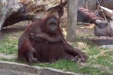 Foto: Ludmila Llaver