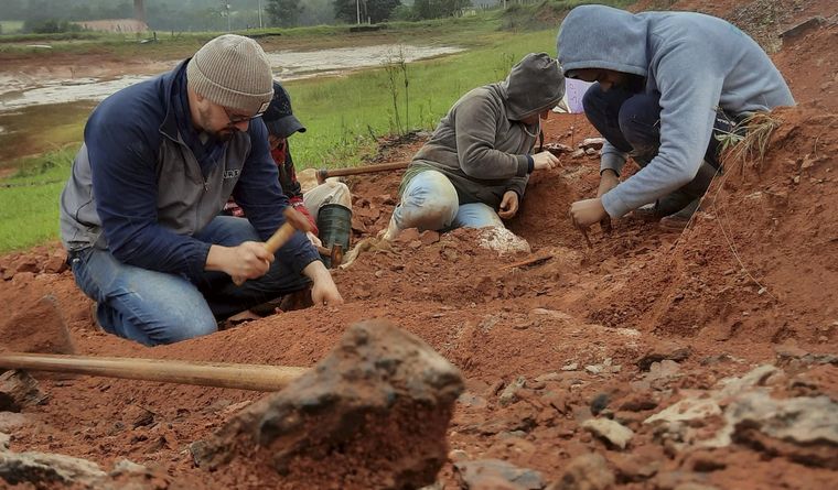 La paleontología ha dado una gran noticia. Foto: Efe.