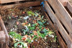 Foto: https://ecosiglos.com/