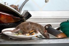 Foto: ElIndependiente.