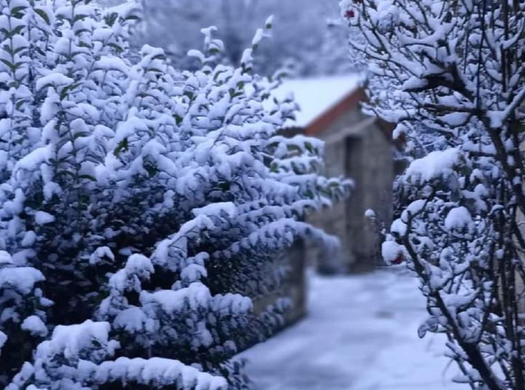 Foto: Noticias Argentinas