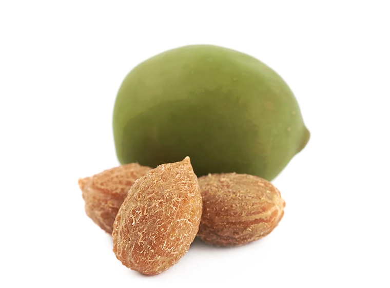 Dale una segunda vida al carozo de aceituna. Dale una segunda vida al carozo de aceituna.