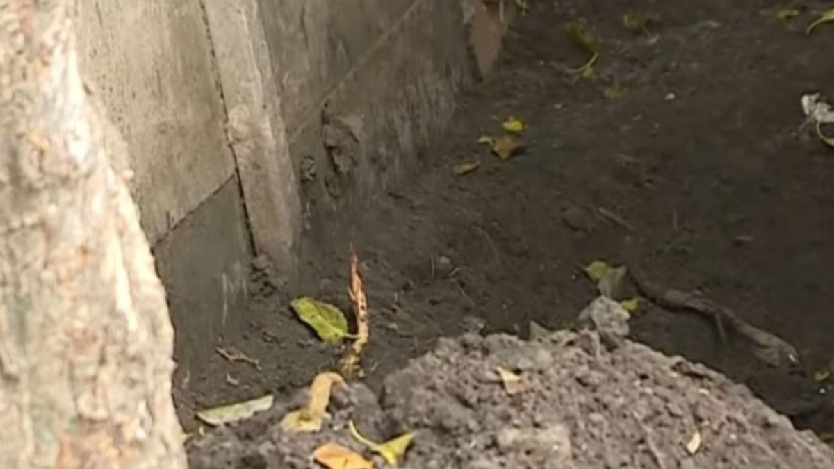 La escabrosa frase que le dijo el presunto asesino de Claypole al nene que encontró a su mamá muerta