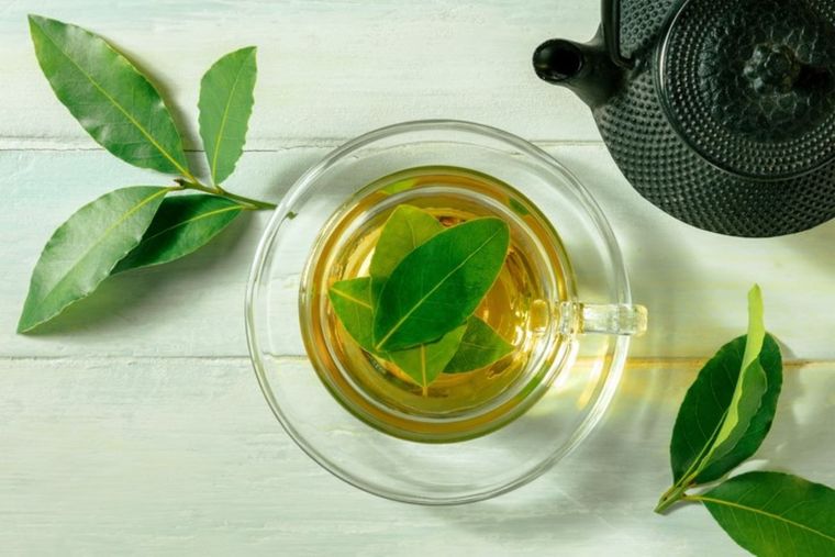 Esta infusión cuenta con propiedades beneficiosas para el organismo Foto: Shutterstock