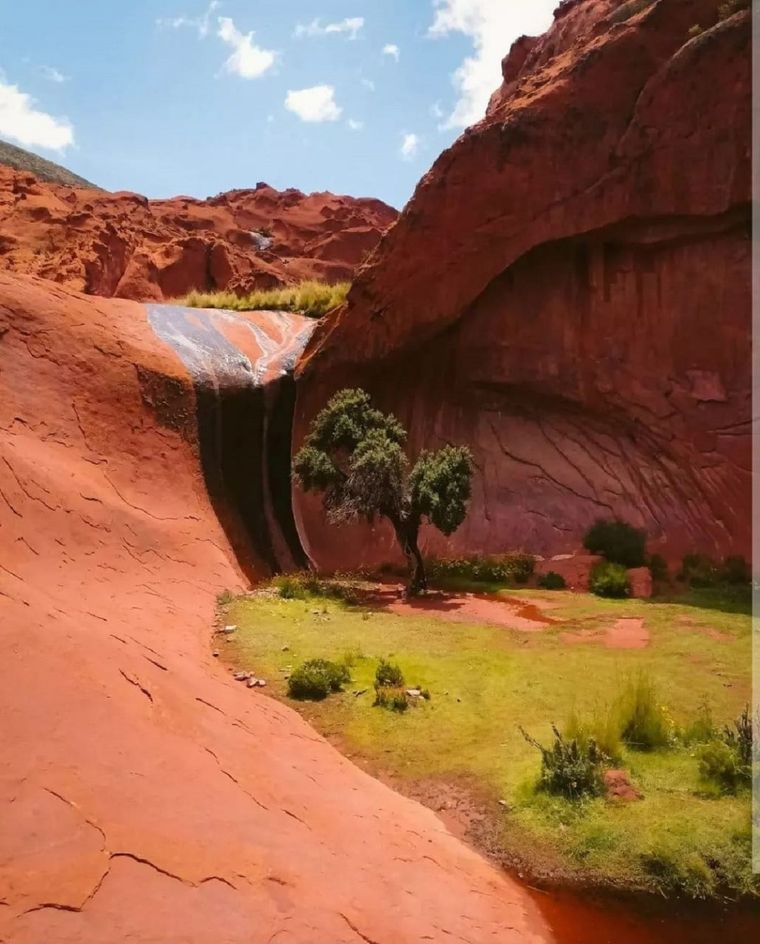 Este oasis es uno de los mayores atractivos de Jujuy Foto: Foto: IG @soyjanet_