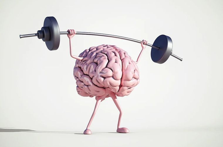 El alimento que beneficiará a tu cerebro Foto: Shutterstock