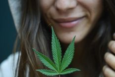 Marihuana La planta está en el centro de la polémica. Imagen ilustrativa.