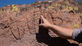 Malargüe será escenario de un nuevo documental sobre OVNIs y enigmas ancestrales. Malargüe será escenario de un nuevo documental sobre OVNIs y enigmas ancestrales.