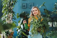 Las plantas también sirven para decorar un espacio interior. Foto: GETTY IMAGES