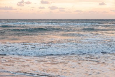 MDZol | Foto: Pexels