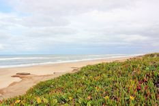Mar de Cobo tiene una de las playas más tranquilas de la Costa Atlántica Foto: Turismo Mar Chiquita