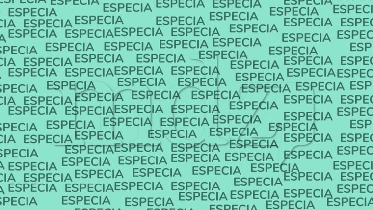 Acertijo visual, reto visual, palabra Fuente: MDZ Online