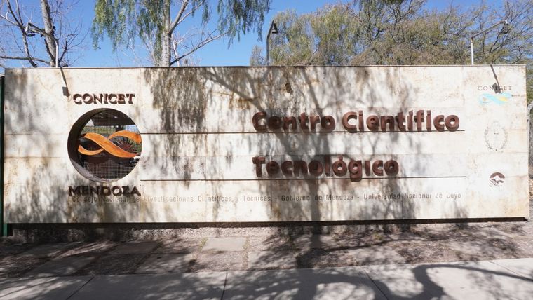 Un estudio del Conicet dio a conocer como el avance de la ciudad modifica la vida de los arácnidos mendocinos. Un estudio del Conicet dio a conocer como el avance de la ciudad modifica la vida de los arácnidos mendocinos.