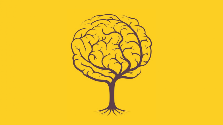 Test de personalidad