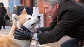 Siempre a tu lado, Hachiko, la película que protagonizó Richard Gere, hizo llorar a milllones de personas en todo el mundo. Siempre a tu lado, Hachiko, la película que protagonizó Richard Gere, hizo llorar a milllones de personas en todo el mundo.
