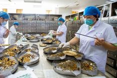 El gobierno de China ha visto en la pandemia de covid-19 una oportunidad para tratar de internacionalizar la medicina tradicional del país Foto: BBC Mundo