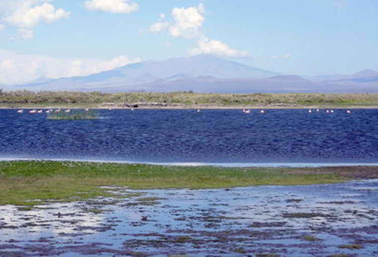Laguna de Llancanelo, forma parte del humedal.&nbsp;